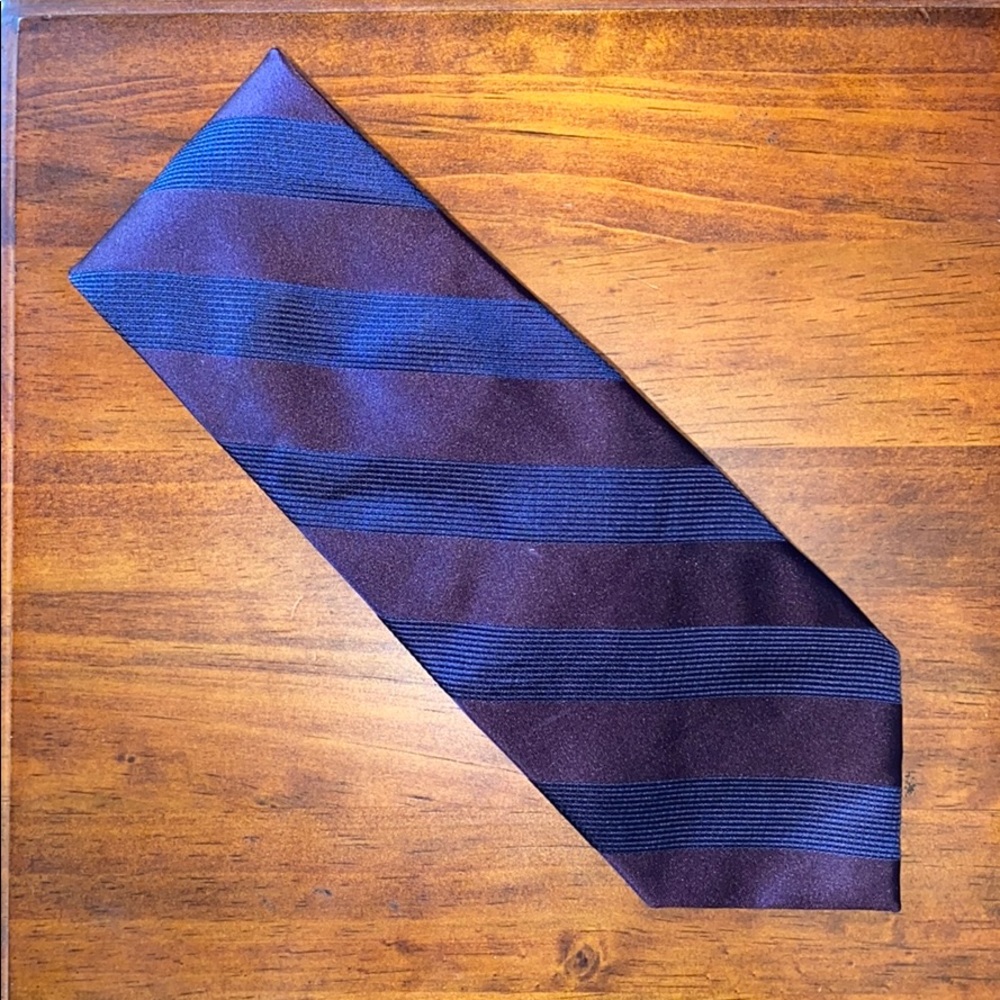 Express Blue/Purple Silk Tie